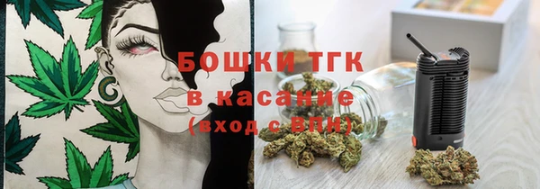 сатива Нефтекумск