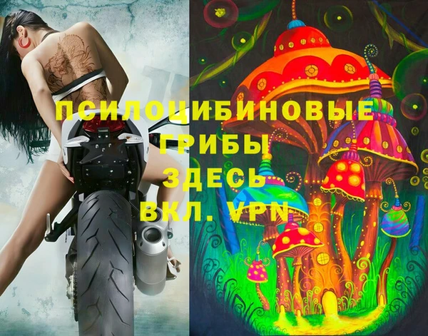 хмурый Алзамай