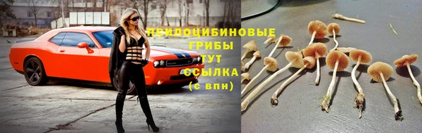 гашик Абаза